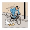 Calendrier 2025 Tintin (30x30 cm)