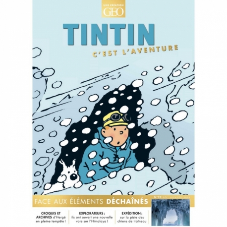 GEO TINTIN C'EST L'AVENTURE N°22